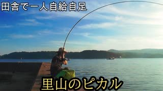 【ぴ】田舎で一人島暮らし　夕方釣りをして夕飯を作る　自給自足