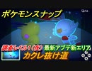 ポケモンスナップ　最新アプデ新エリア　カクレ抜け道　調査レベル１（夜）【New ポケモンスナップ】