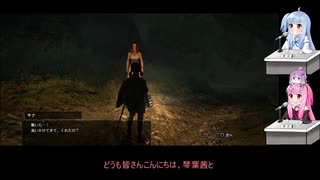 自由気ままにドラゴンズドグマをプレイ　６