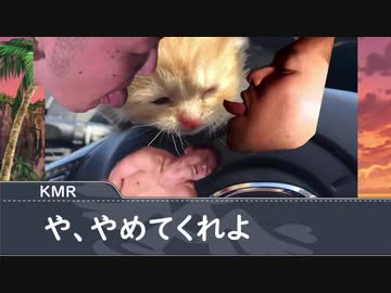 子猫を育てる先輩【Part5】