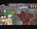 【ゆっくり実況】この厄災の只中で part38【Terraria Calamity&Spirit】