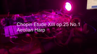 自動演奏Chopin Etude XIII op.25 No.1