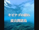 キビナゴの群れ・慶良間諸島