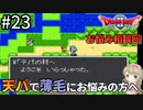 #23【女性実況】ドラゴンクエスト2で癒される！天パで薄毛にお悩みの方へ【DQ2】