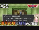 #25【女性実況】ドラゴンクエスト2で癒される！満月の塔で植毛のご相談【DQ2】