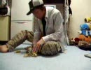 2006年02月14日にはこんなことがありましたよ