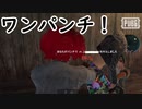 【ゆっくり実況】おとあにが楽しむPUBG番外編３【おとすけソロ】