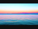 Nice Overseas Video-introduce
