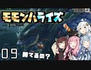笛で行くモモンハライズPart9