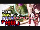 【思い詰めて野草を食べてみよう】#01 アメリカオニアザミさんで「地獄」！