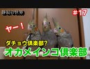 【静寂の世界】＃17　ダチョウ倶楽部のような風貌