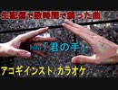【ニコカラ】君の手／hiro’【アコギインスト】《off vocal》