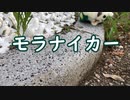 モラナイカー feat. 初音ミク