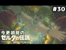 【ゼルダの伝説ブレスオブザワイルド】これはこれでいいと思います【実況プレイ】#30