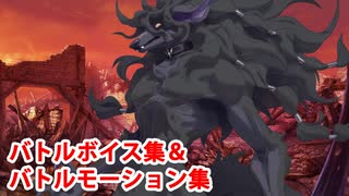 Fate/Grand Order ブラックウルフ　バトルボイス集＆バトルモーション集（戦闘開始、スキル、チャージ攻撃等）