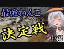 【Total War:WARHAMMER Ⅱ】第二次（中編）ラボラトリー大戦（最強犬決定戦）【夜のお兄ちゃん実況】
