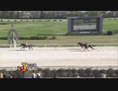 2021年8月6日名古屋競馬11R ペリドットオープン(A1) トミケンシャイリ