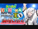 【あつ森】Enjoy The アリアルは夏を満喫したい！【CoeFont小噺特別編】