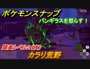 ポケモンスナップ　最新アプデ追加エリア　カラリ荒野　調査レベル２（夜）　バンギラスを怒らす！【New ポケモンスナップ】
