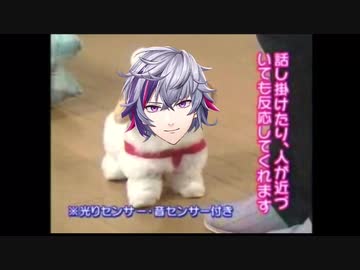 愛犬ロボ「ふわ」