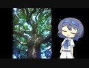【CeVIO写真】今日も写真でのんびり雑談＿78枚目【神社の大きなクスノキ】
