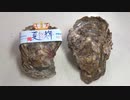 岩ガキ【長火鉢とおっさん219】