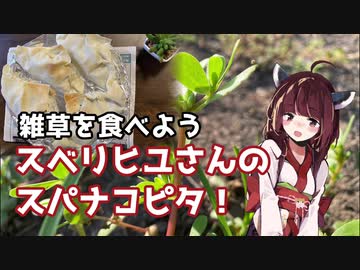 【思い切って野草を食べてみよう】#28 スベリヒユさんで「スパナコピタ」！