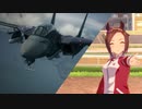 『エースコンバット６』　相棒はウマ娘　『ウマ娘』