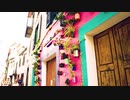 Urban Environment