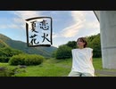 【えいか】夏恋花火 踊ってみた