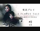 【プレイグ テイル -イノセンス-】大量のハハッ♪が襲ってくるゲーム＃２　1/2【実況プレイ】