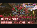 散り散りになった仲間たちのストーリー　シルビア編　後編【ドラゴンクエスト11S】縛り初見プレイ＃42