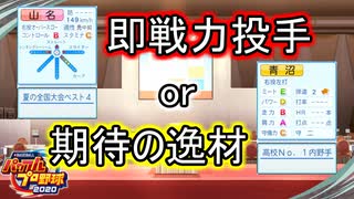 【パワプロ2021】新規参入ペナント Part.9【ゆっくり実況】