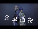 【A3!】カフェ友で　食虫植物踊ってみた【コスプレ】