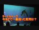 今までで一番困った質問は？【タートルトーク】東京ディズニーシー