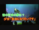 自由になりたい少女【タートルトーク】東京ディズニーシー