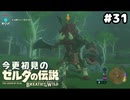 【ゼルダの伝説ブレスオブザワイルド】なんだこいつ聞いてないぞ！【実況プレイ】#31