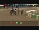 【競馬】2021 ホイットニーS　ニックスゴー