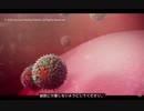 【コロナ感染解説動画】コロナにかかったらどうなるの？感染メカニズムとワクチンの基本作用
