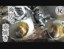 【ぴ】密漁でサザエ採ってそのまま海岸で石焼BBQ　自給自足　田舎暮らし　タカセガイ