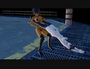ジャイアントスイング（DOA.・フェンス当て）