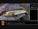 渓 流 釣 り