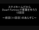 ステイホームだからDwarf Fortressで要塞を作ろう 12回目