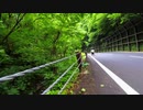 ボッチ車いすの渓流釣り