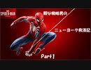 暇な蜘蛛男のニューヨーク救済記Part1