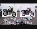 【ZeaL FZX250】250マルチはいいぞ〜おじさん「250マルチはいいぞ〜」 250cc 4気筒 バイク ジール