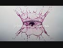 【IA】 triumph of princess 【オリジナル曲】