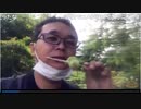 【原付】仙台青葉城へ②