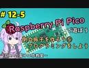 #12-5 倒立振子を作ろう⑤プログラミングをしよう ～DHAの電子工作教室～【Raspberry Pi Pico】