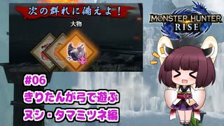 【MHRise】きりたんが弓で遊ぶ！#06 百竜夜行ヌシ・タマミツネ編【VOICEROID実況】